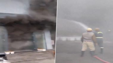 Uttar Pradesh Fire Video: Massive Blaze Erupts at Door Manufacturing Company in Ghaziabad Industrial Area, Firefighting Operation Underway